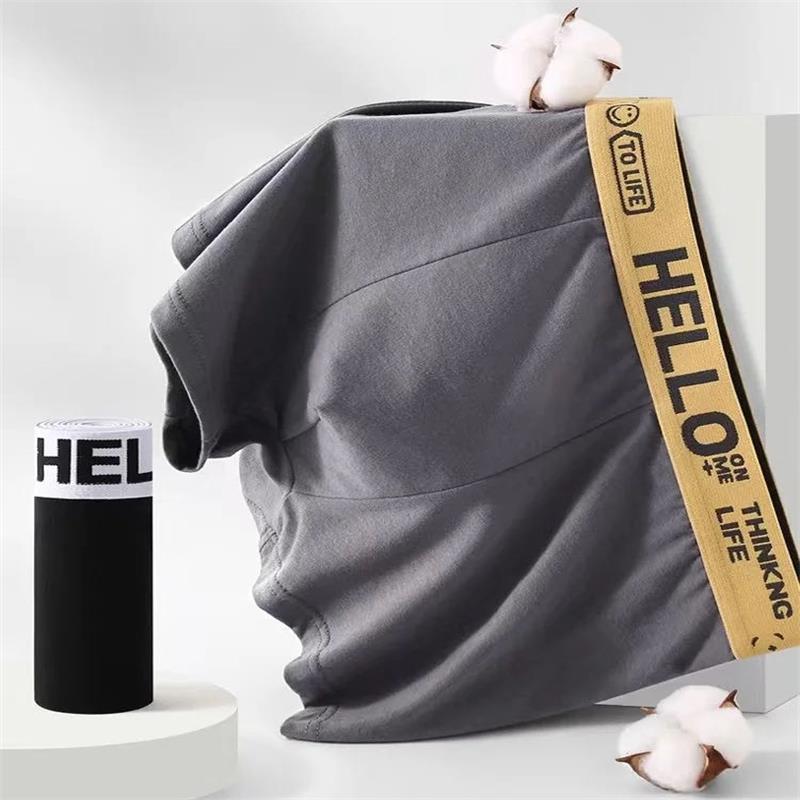 10 Stück/Herrenunterwäsche Män – Boxer Brief Pack Cotton Bewertung und Preis