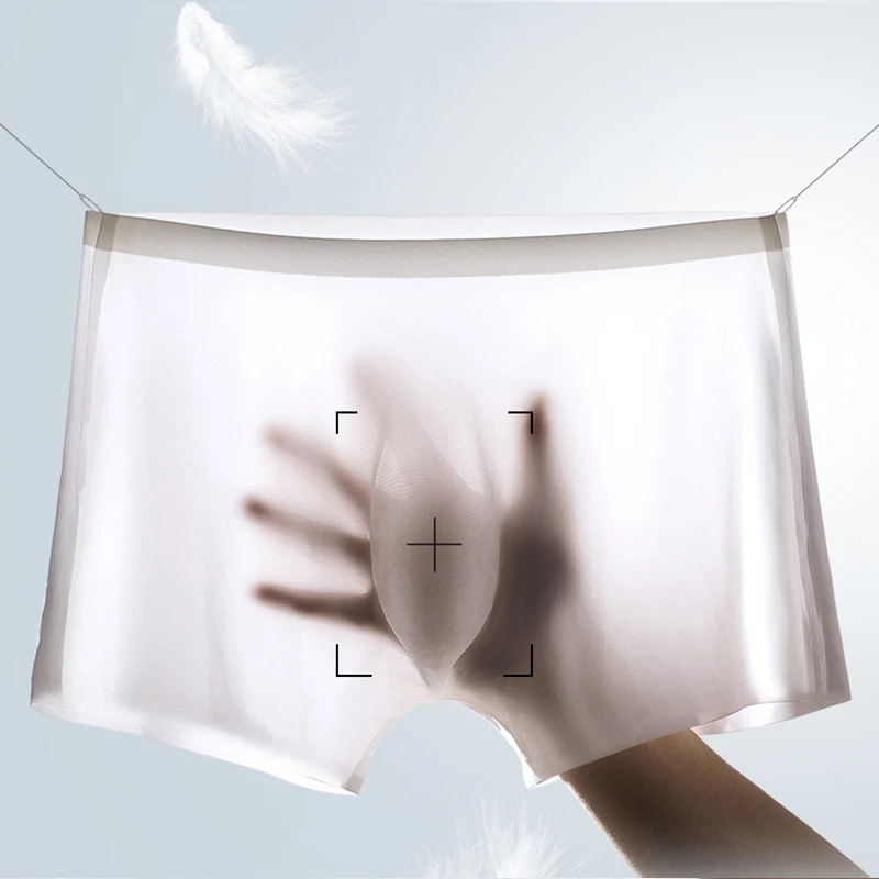 10 Teile/los Männer Sommer Eis – Multi Pack Underwear Bewertung und Preis