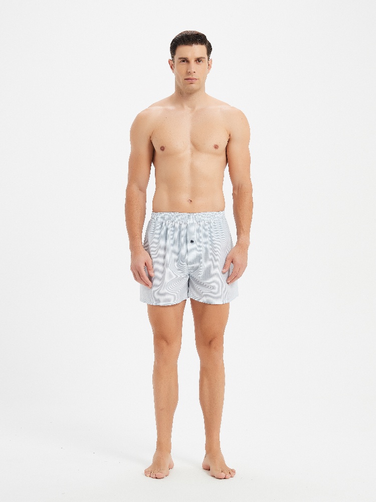 10 Stück Herren-Unterwäsche, F – Boxer Brief Pack Cotton Bewertung und Preis