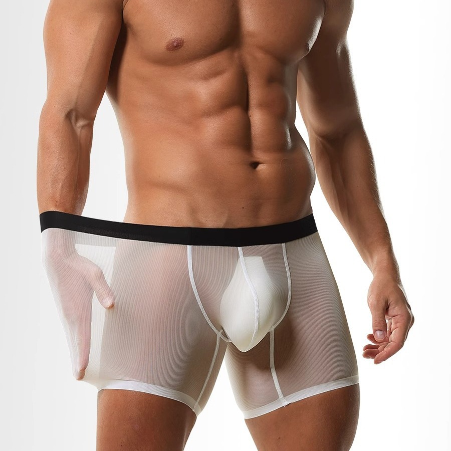 Eisseide Transparente Mesh Lan – Long Leg Trunk Men Bewertung und Preis